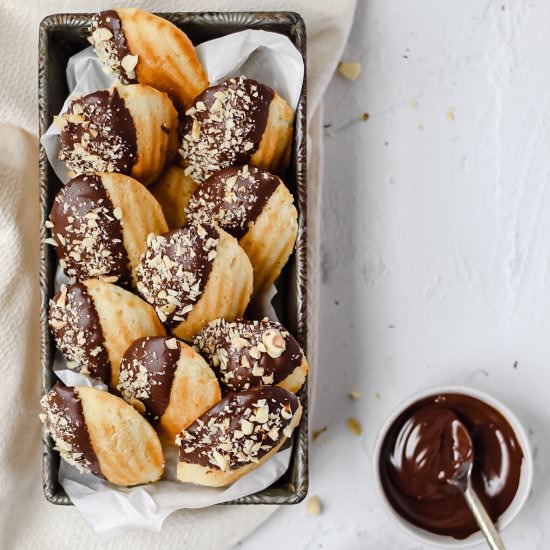 Dark Chocolate Hazelnut Madeleines