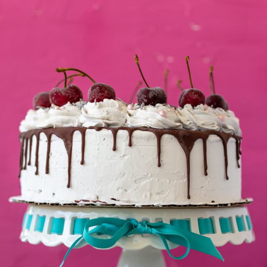 Vegan Ice Cream Cake