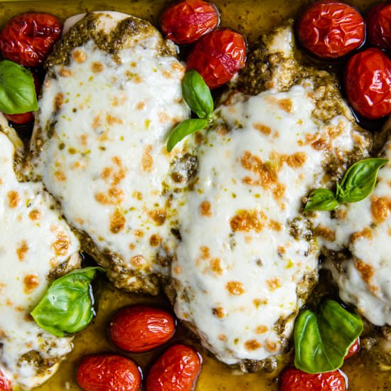 Pesto Chicken