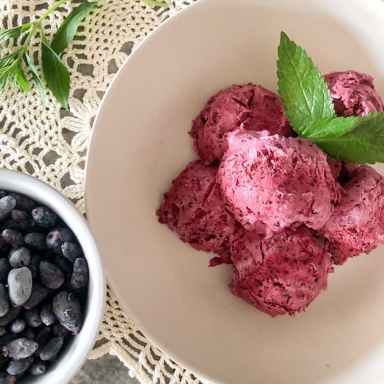 Haskap Berry Ice Cream – No Churn