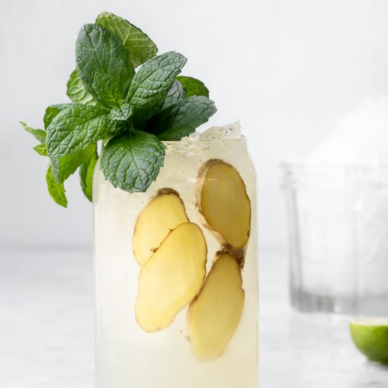 mexican mule cocktail