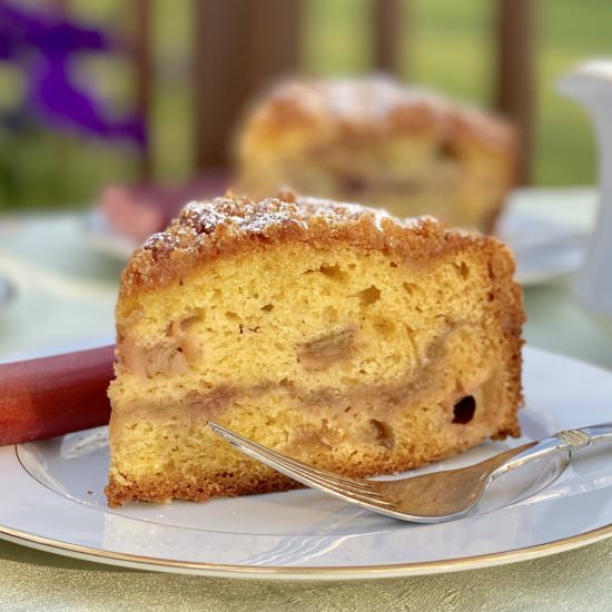 rhubarb cake with streusel topping