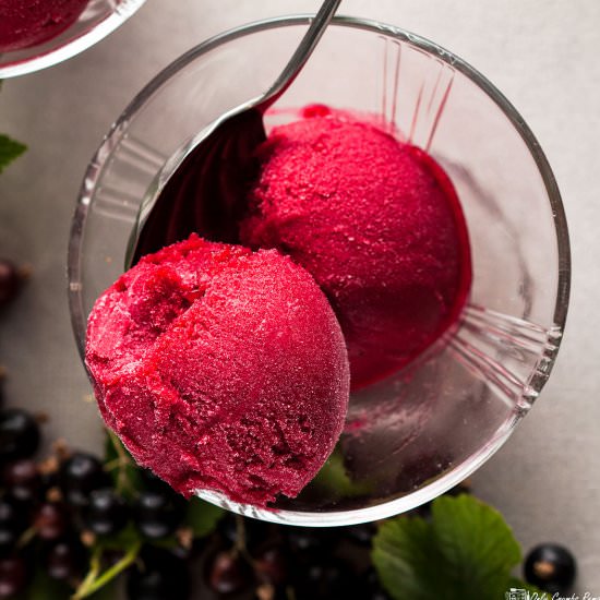 Blackcurrant sorbet