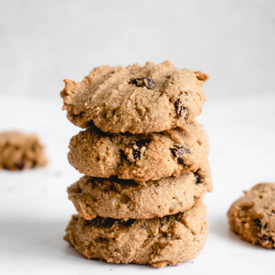 AIP “Oatmeal” and Raisin Cookies