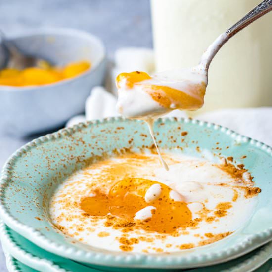 Instant Pot Yogurt with Peaches