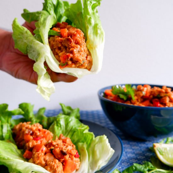 Asian Turkey Lettuce Wraps
