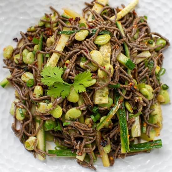 Spicy Cold Soba Noodles