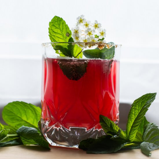 Raspberry Cordial Soda