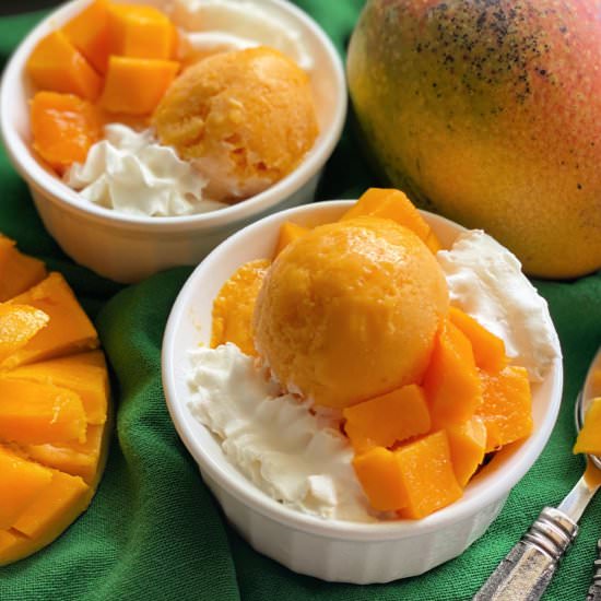 Mango Frozen Yogurt