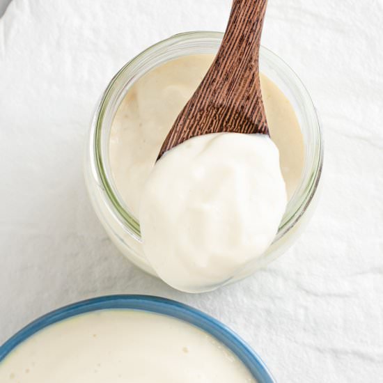 5 Minute Oil-Free Mayo!