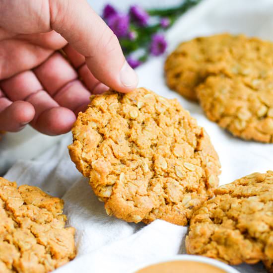 Vegan Peanut Butter Oatmeal Cookies