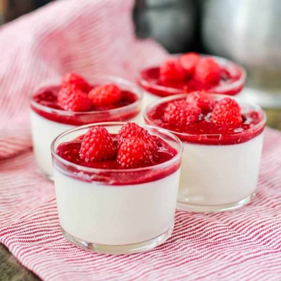 Yogurt Panna Cotta with Rasberries