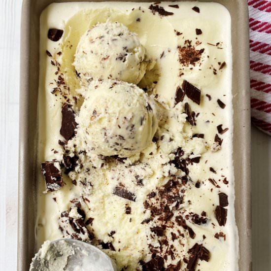 Mint Chocolate Chip Ice Cream