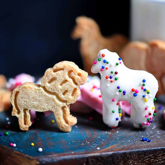Grain-Free Iced Animal Cookies