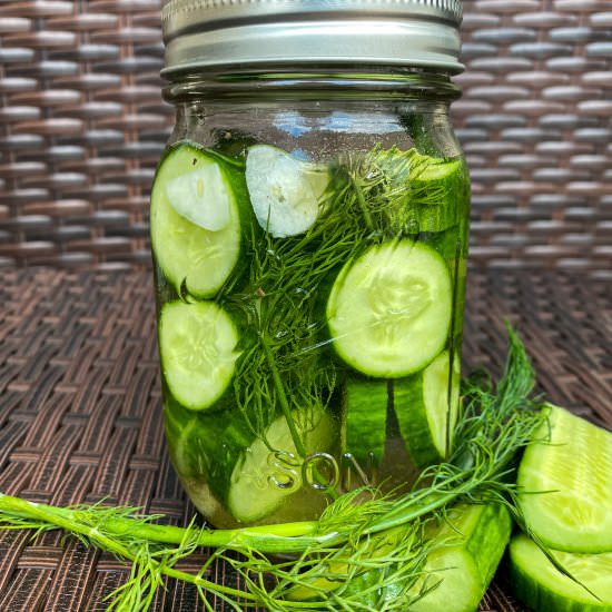 Homemade Dill Pickles