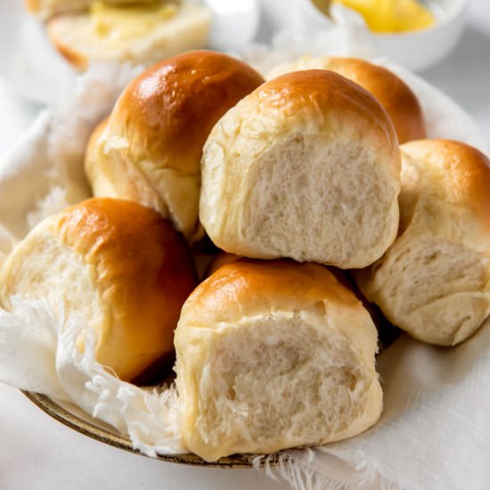 Easy Dinner Rolls