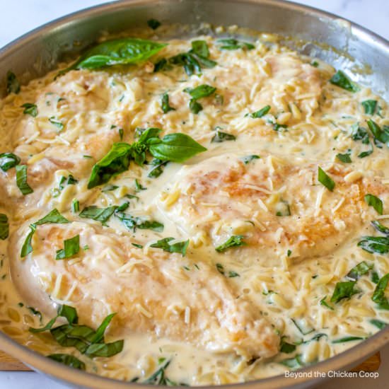 Creamy Chicken Orzo