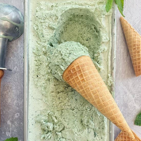 Coconut & Fresh Mint Ice Cream