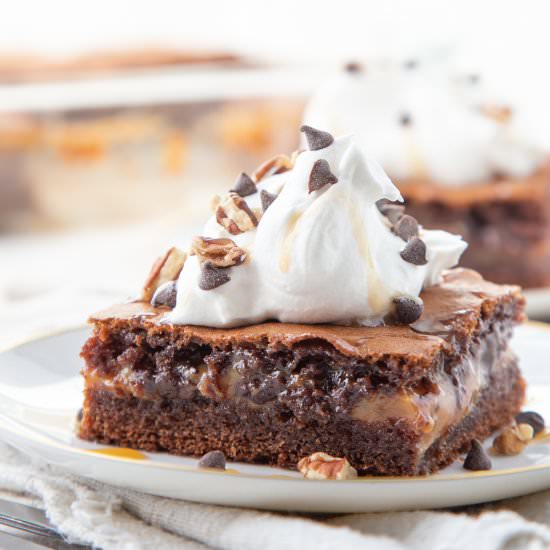 Turtle Cake