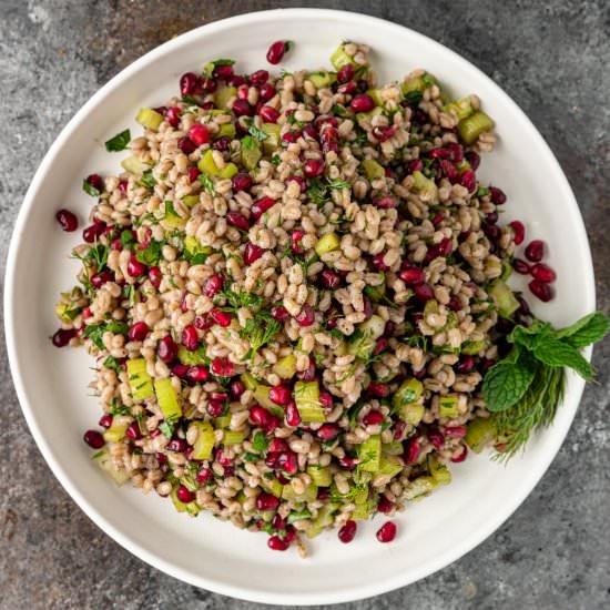 Barley Pomegranate Salad