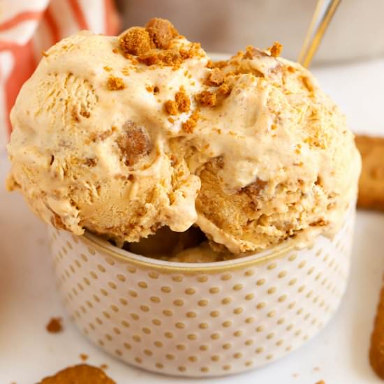Pumpkin Ice Cream