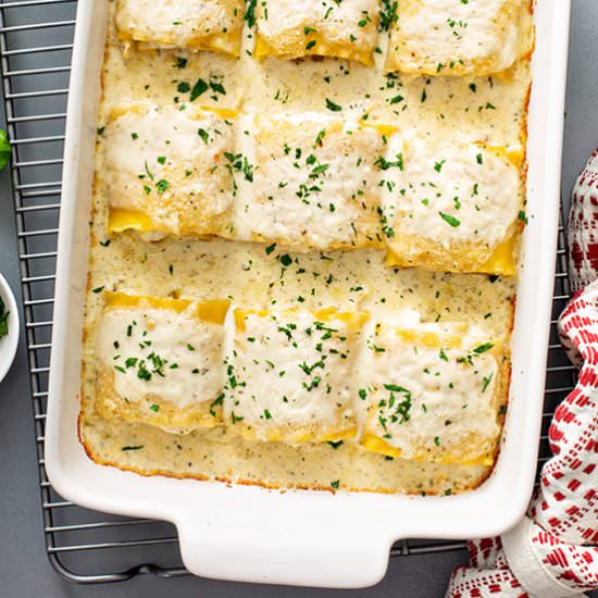 Chicken Alfredo Lasagna Rolls