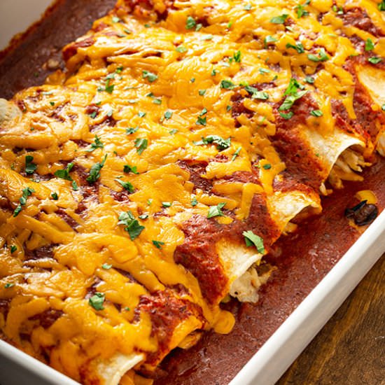 Easy Chicken Enchiladas