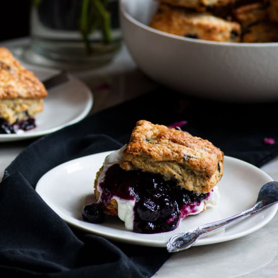 Blueberry Biscuit Shortcakes