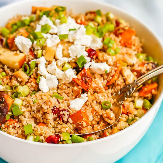 Harvest quinoa salad