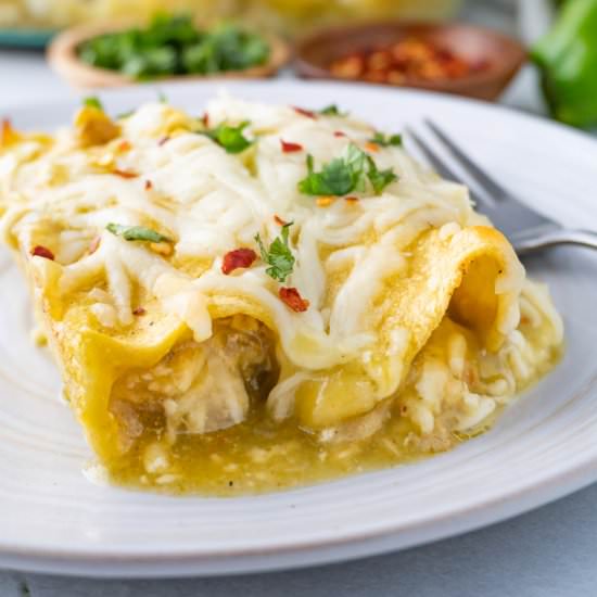 Green Chile Chicken Enchilada