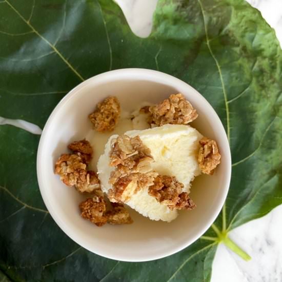 No Churn Fig Leaf Ice Cream