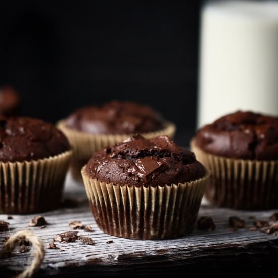 Fudgy Chocolate Muffins