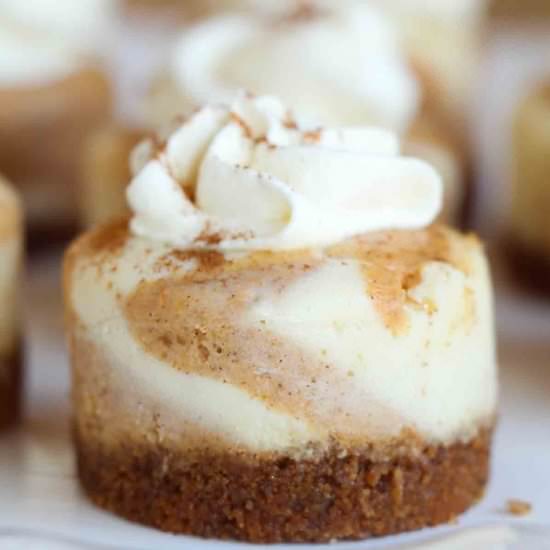 Mini Pumpkin Cheeseecake