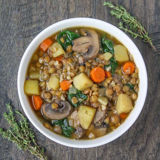 Rustic Lentil & Potato Soup