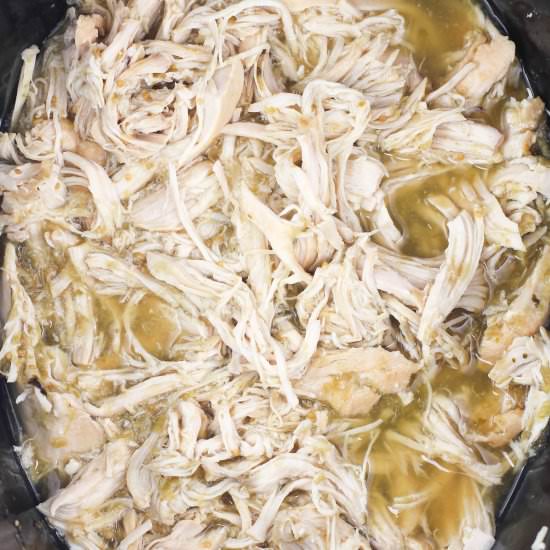 2 Ingredient Salsa Verde Chicken