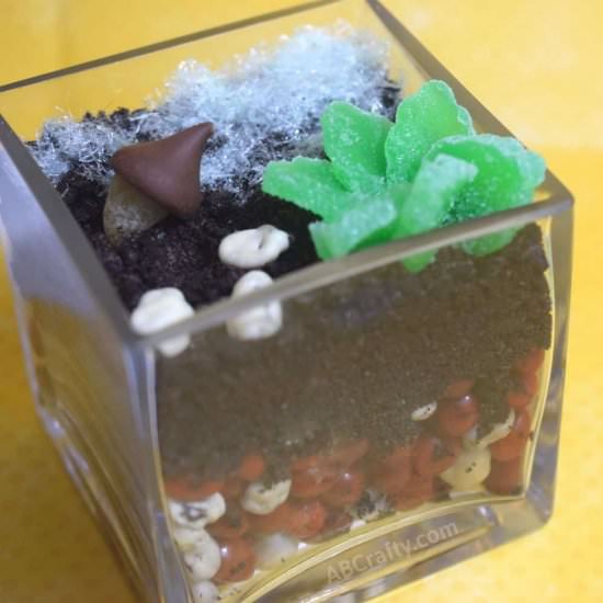 Edible Terrarium