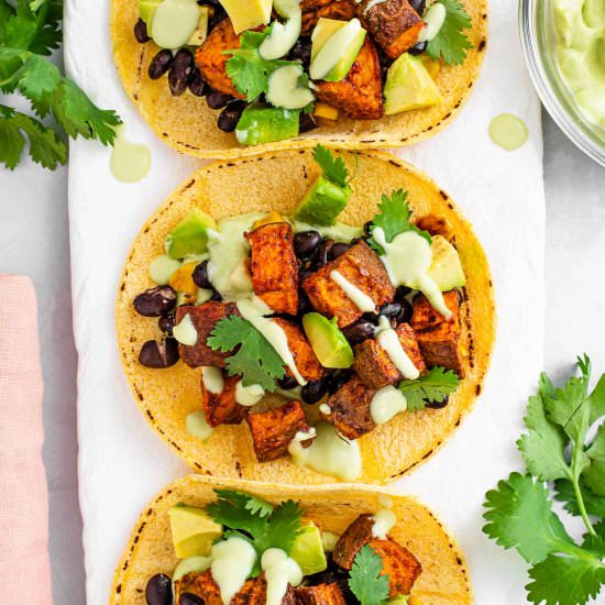 Sweet Potato Black Bean Tacos