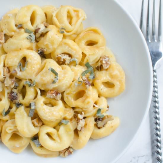 Pumpkin Alfredo Tortellini