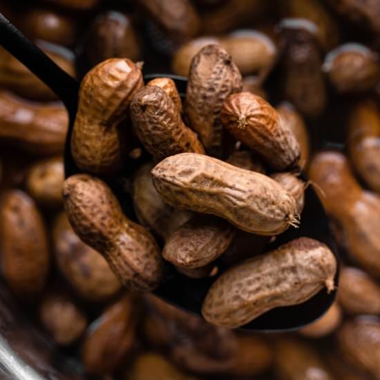 Instant Pot Boiled Peanuts