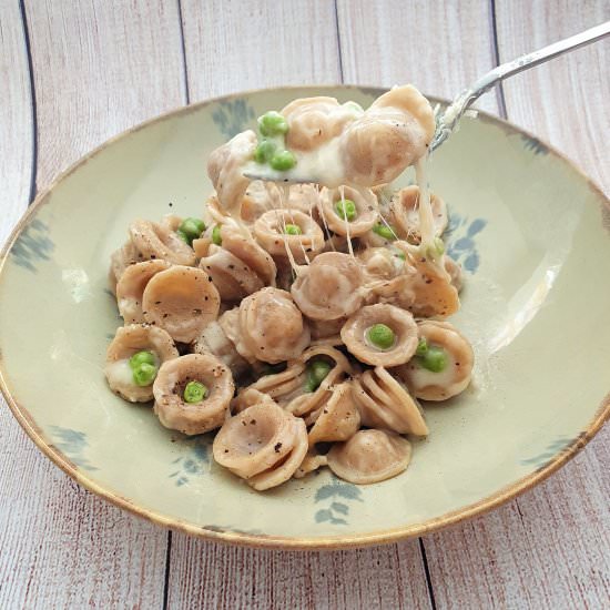 Orecchiette in cheese sauce