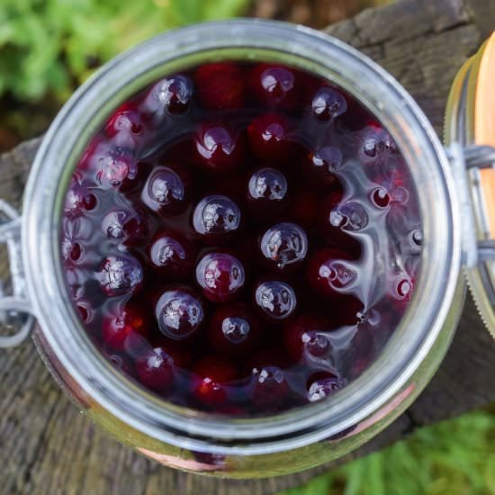 How To Make Sloe Brandy