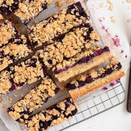 Blueberry Bars