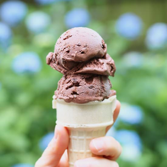 Chocolate Mint Ice Cream
