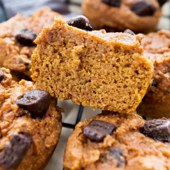 Pumpkin Protein Muffins