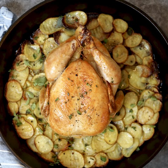 Cast Iron Chicken with Potatoes