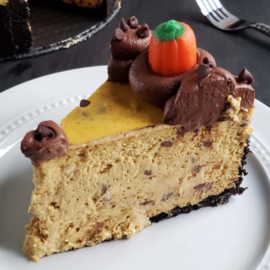 Pumpkin Chocolate Chip Cheesecake