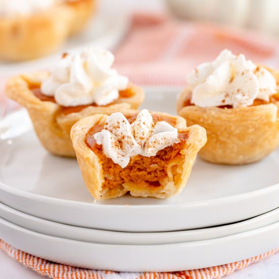 Mini Pumpkin Pies