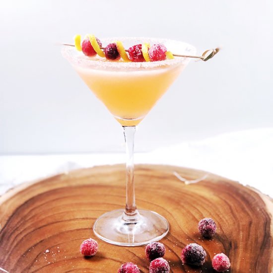 Vodka Lemon and Cranberry Cocktail