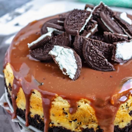 INSTANT POT OREO CHEESECAKE