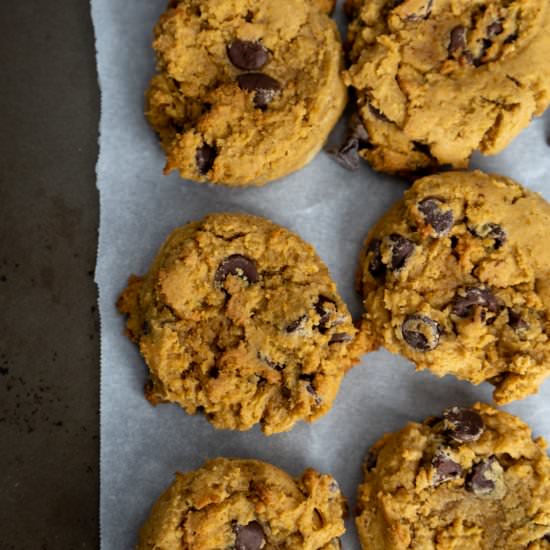 Pumpkin Chocolate Chip Cookies